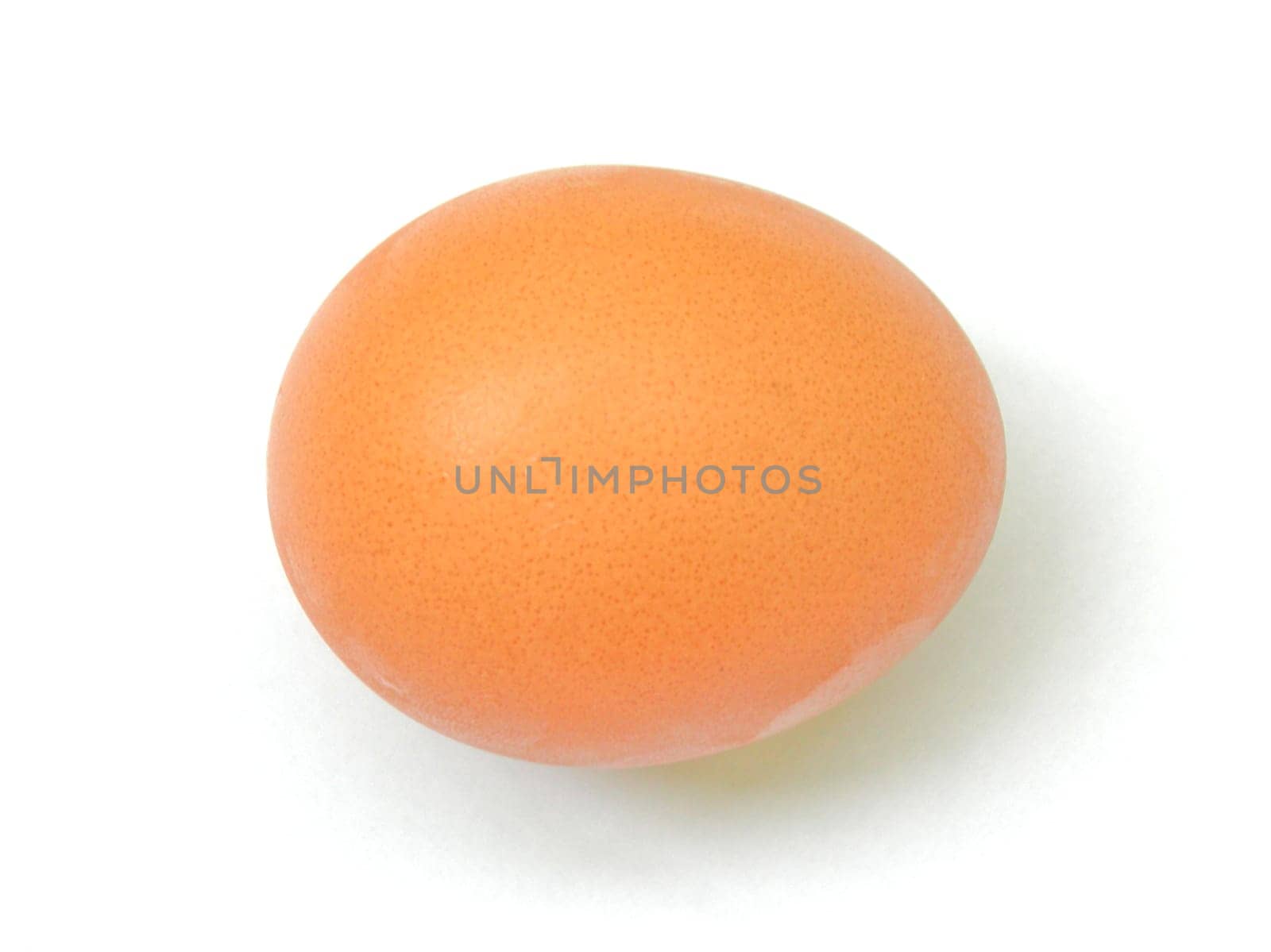 Egg