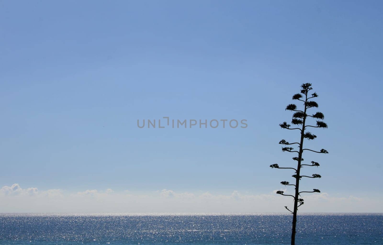 sea water without lake