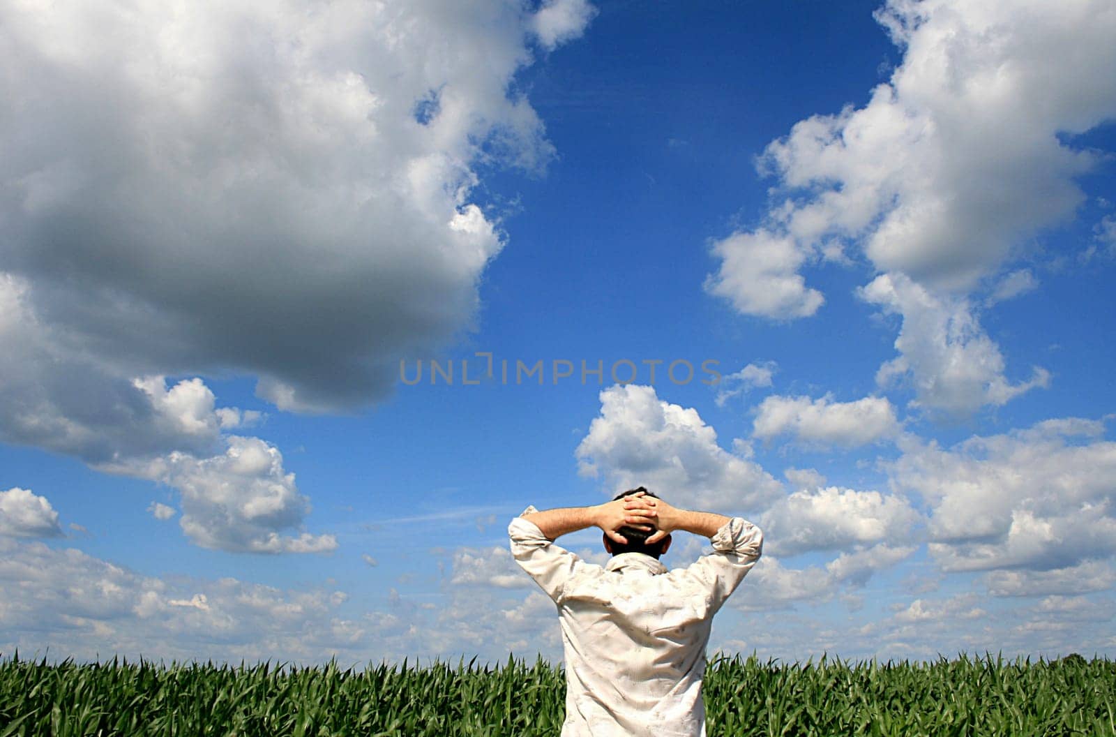 summer without food