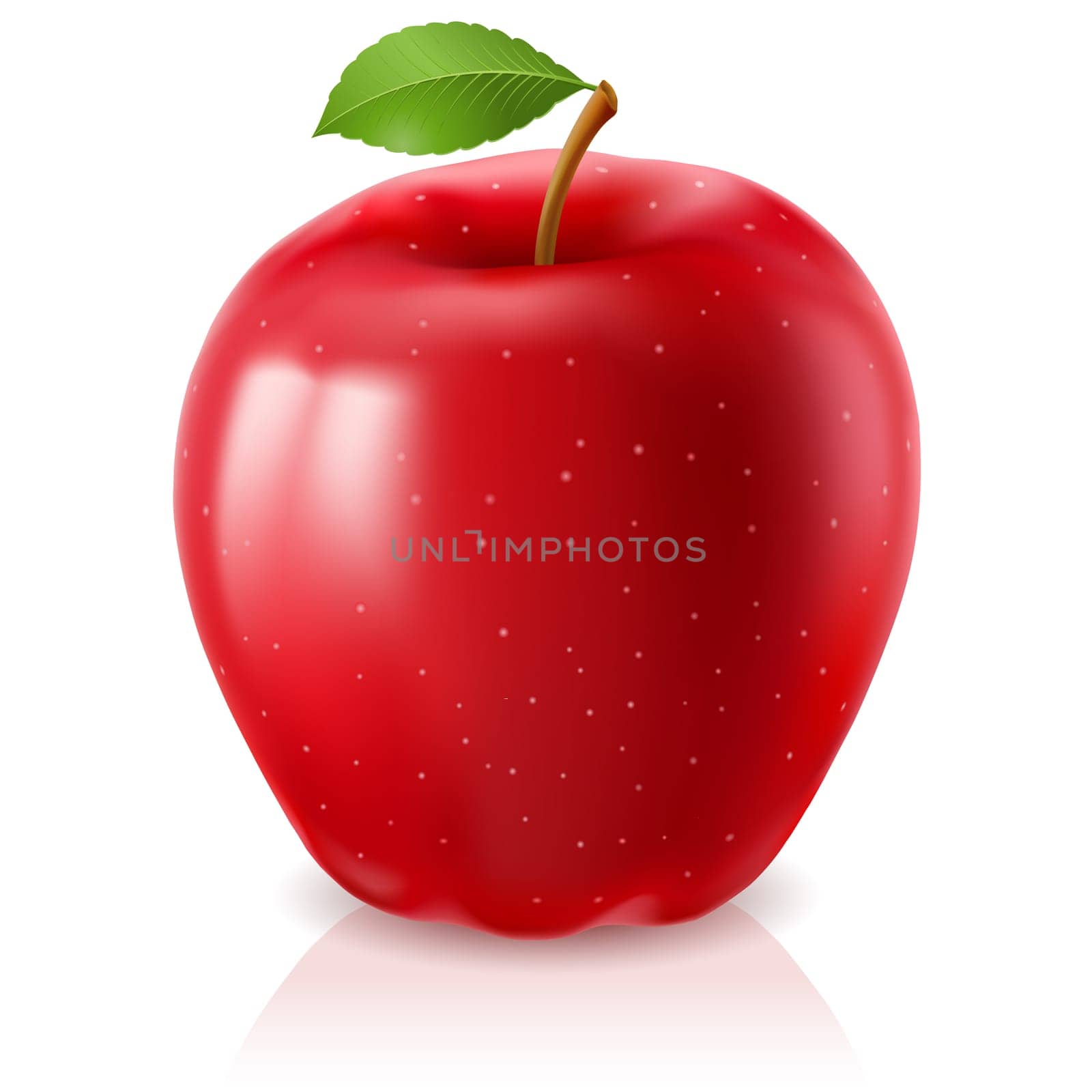 Ripe red apple. Illustration on white background