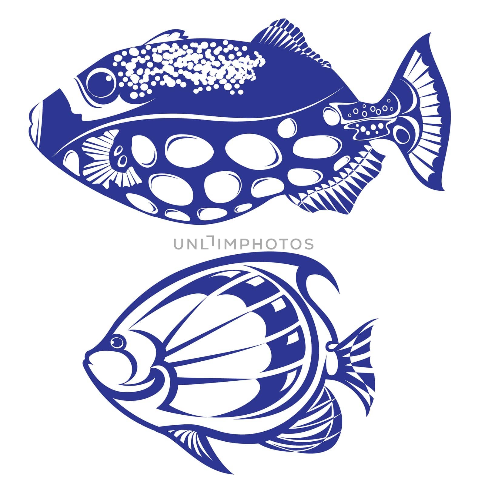 Tropical Fish. Set #5. Vector illustration on white background for design