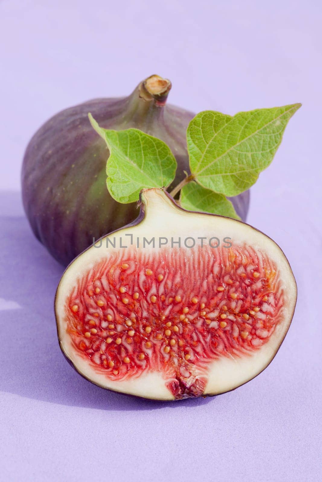Fresh fig