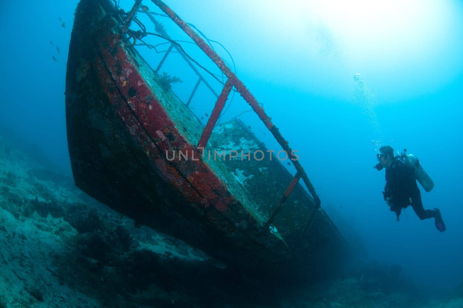 Boat wreck on the house reef of the Prince John Dive Resort in Sulawesi - Indonesia
