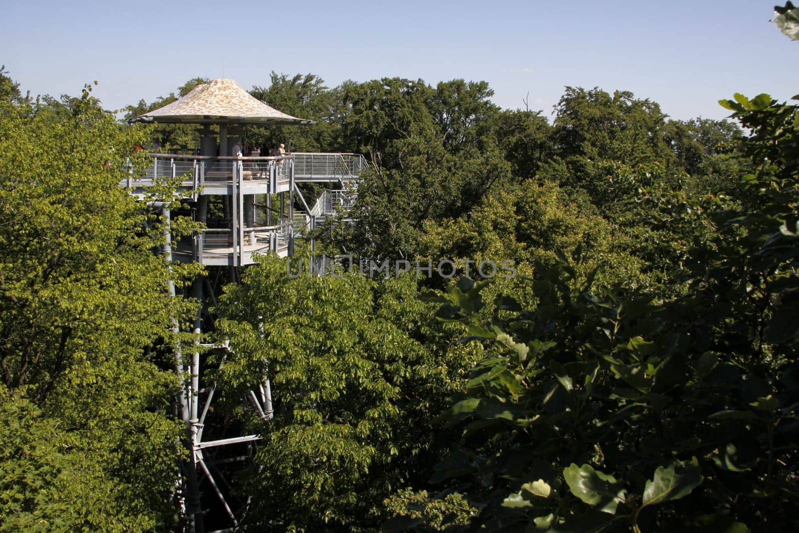 Treetop Walk in Hainich National Park