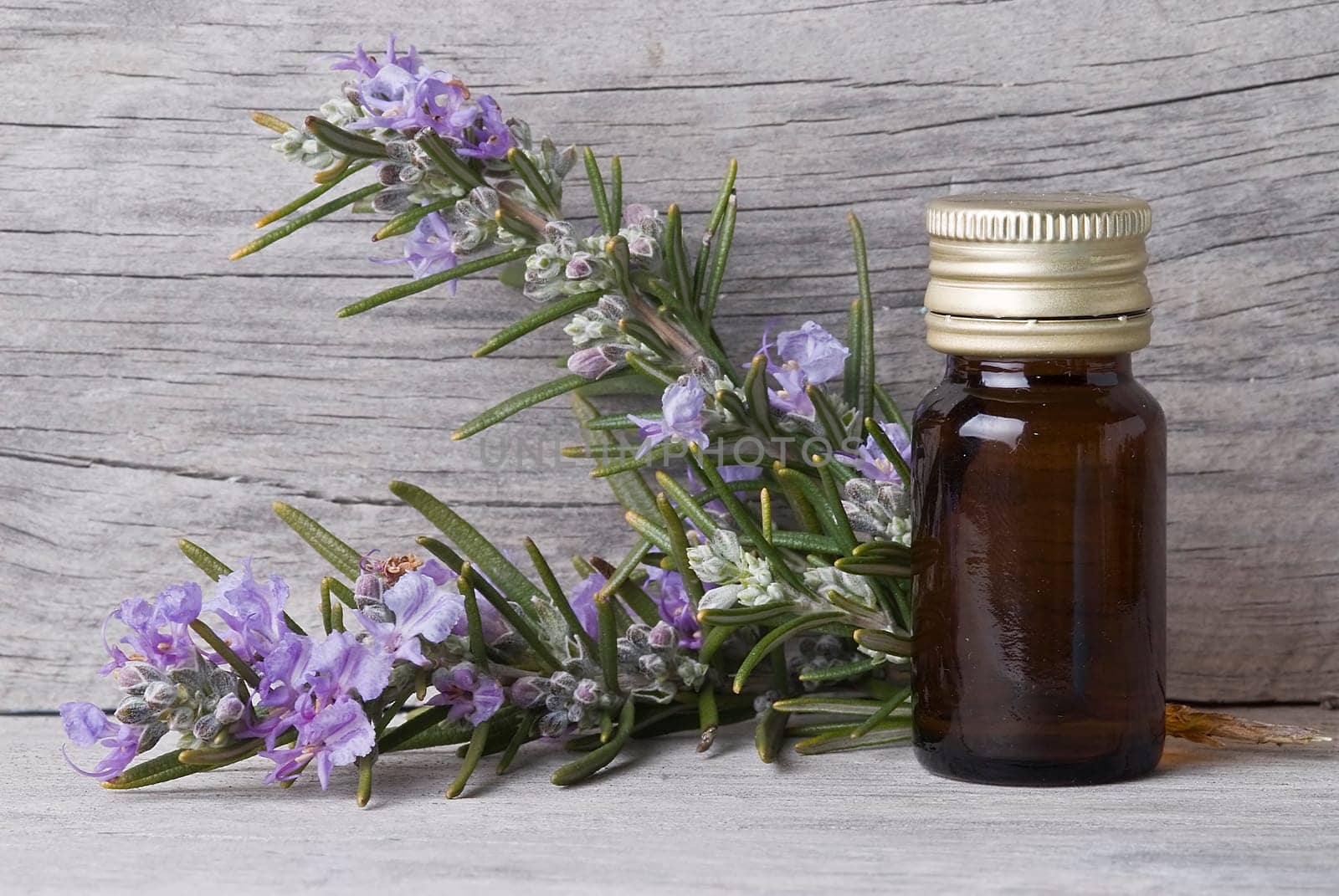 Rosemary branches and a bottle of rosemary essence on an old wooden shelf.