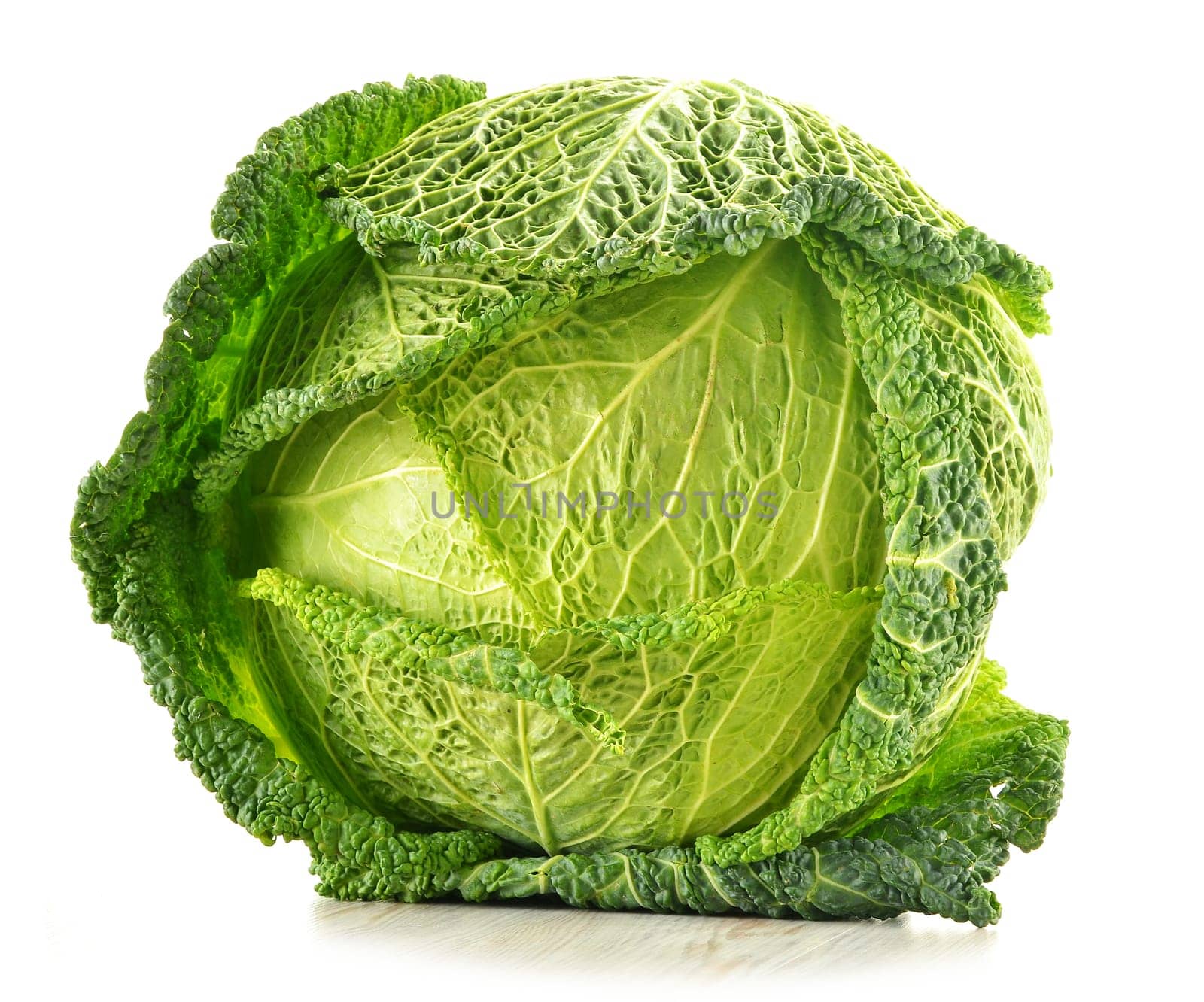 Cabbage isolated on white