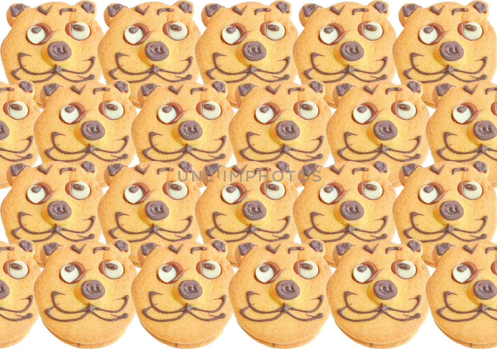 Range of homemade baked cookies with cat face isolated on white