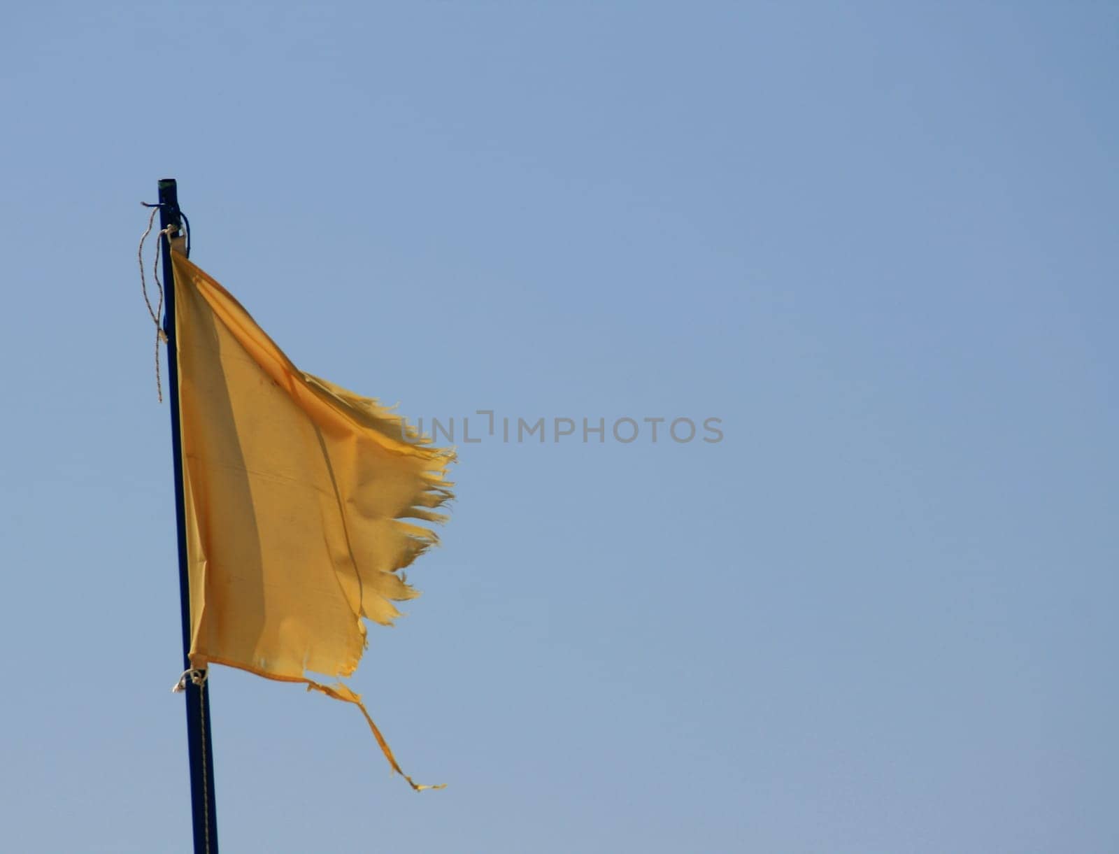 yellow flag