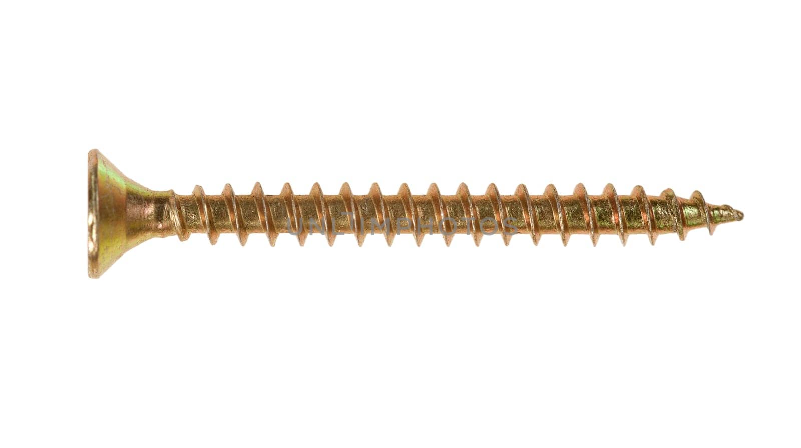 Detail of the flush wood screw