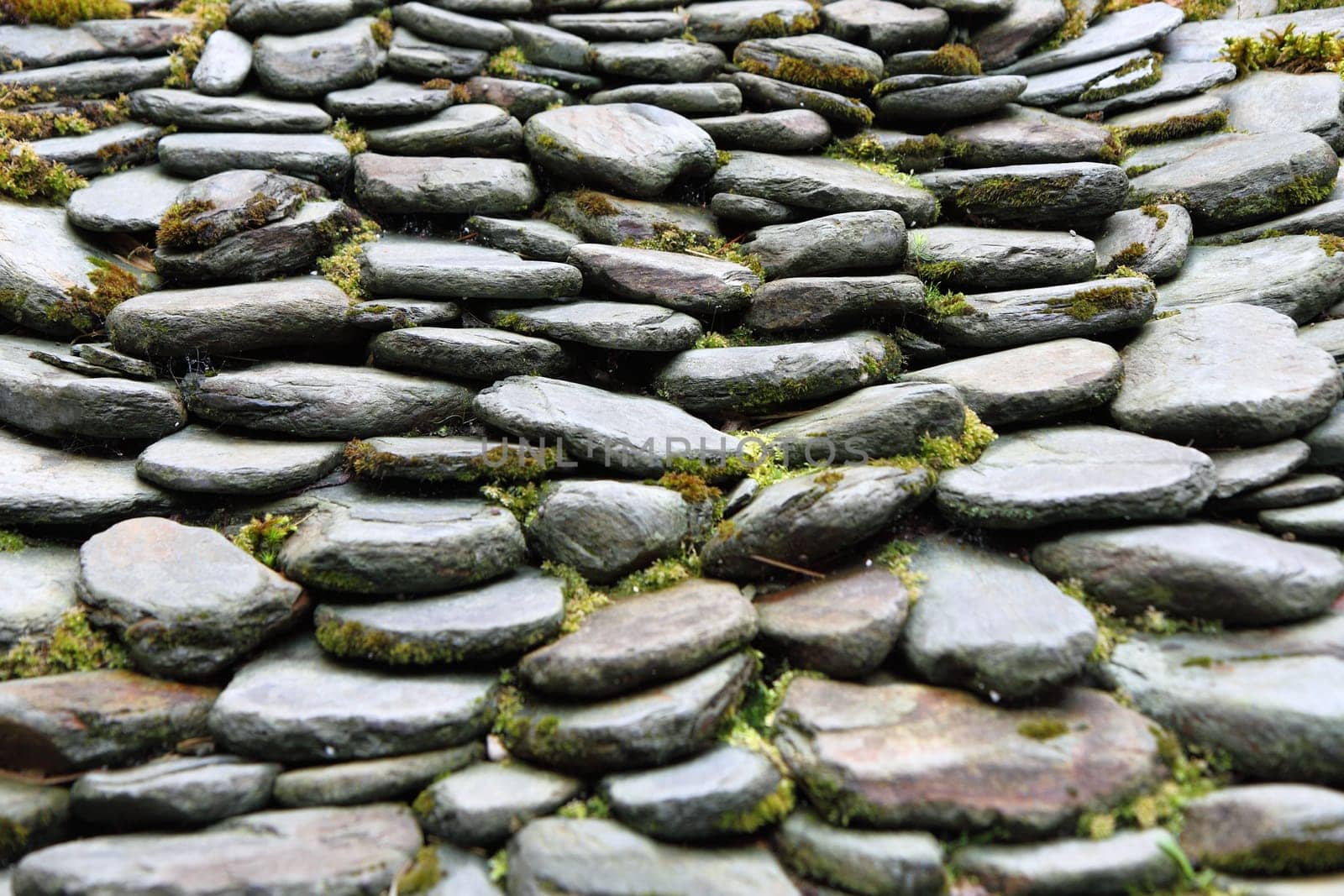 Green garden - grass and stone way