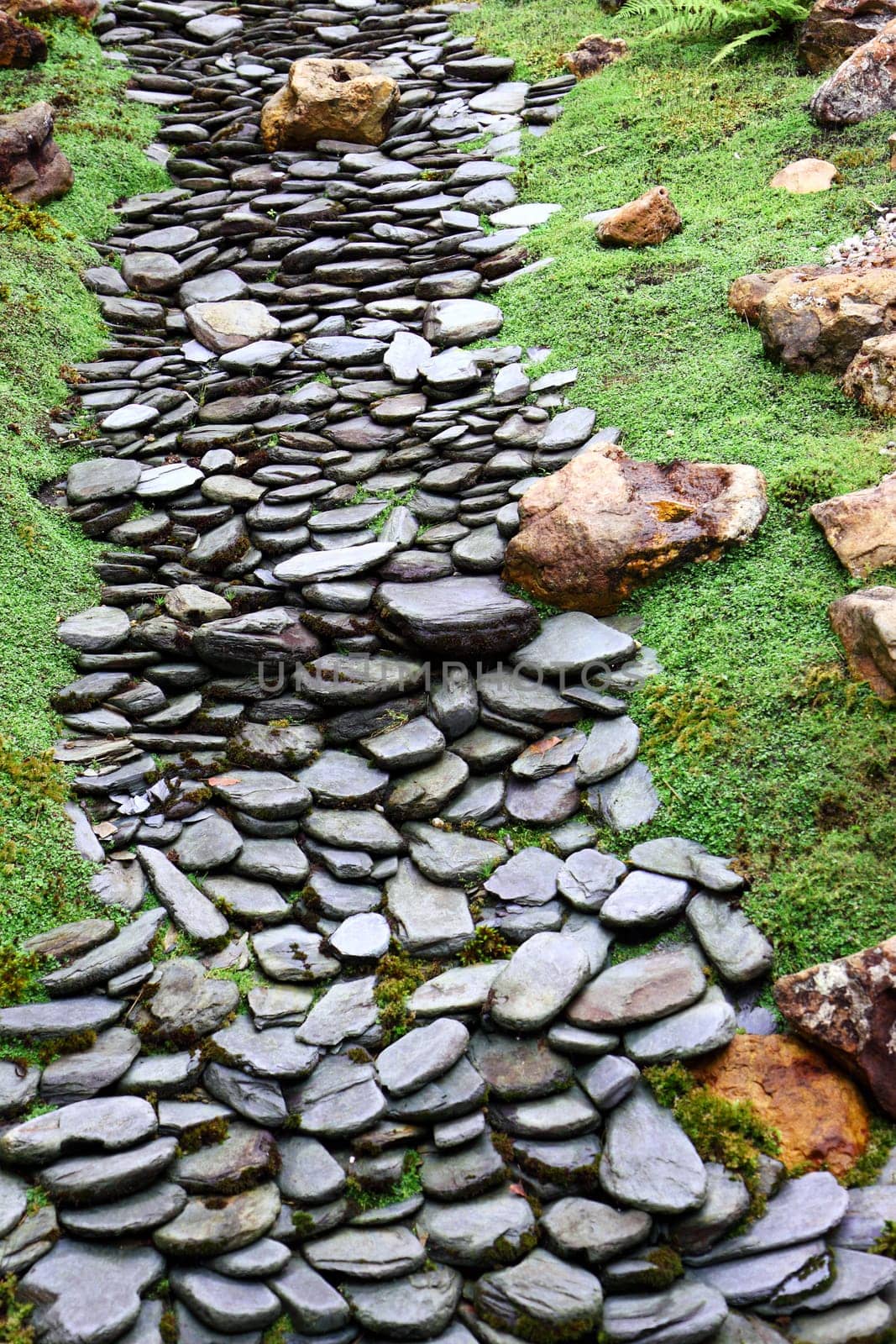 Green garden - grass and stone way