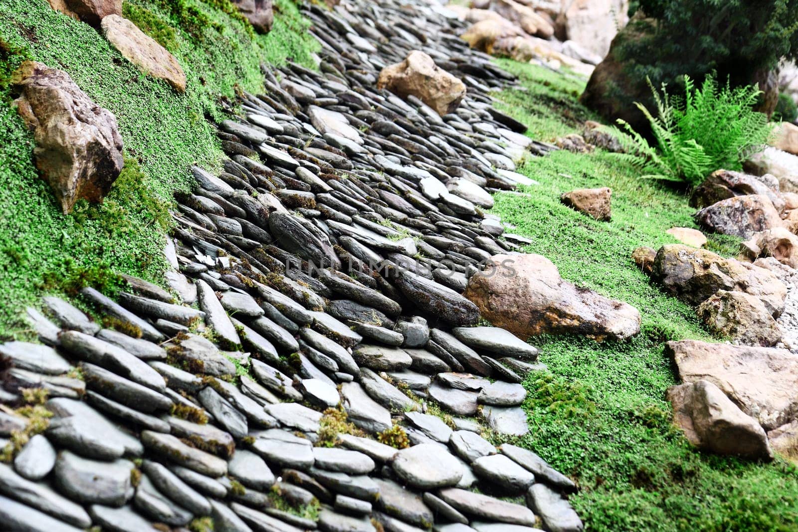 Green garden - grass and stone way