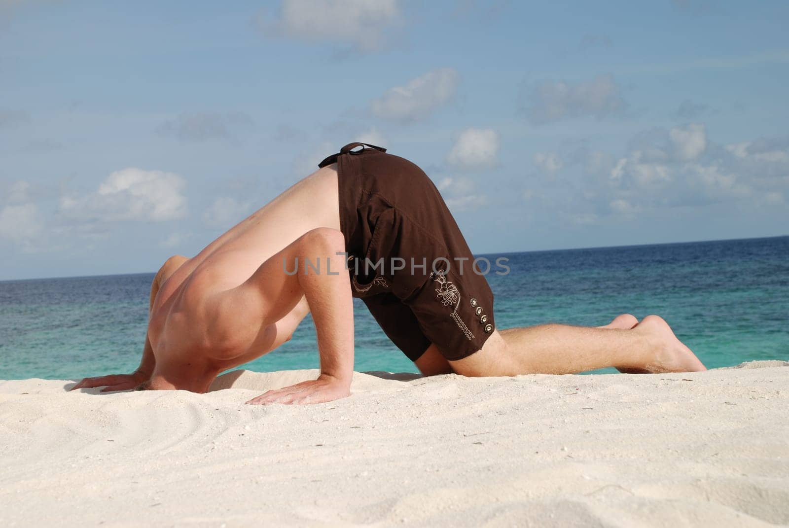 Head in the Sand