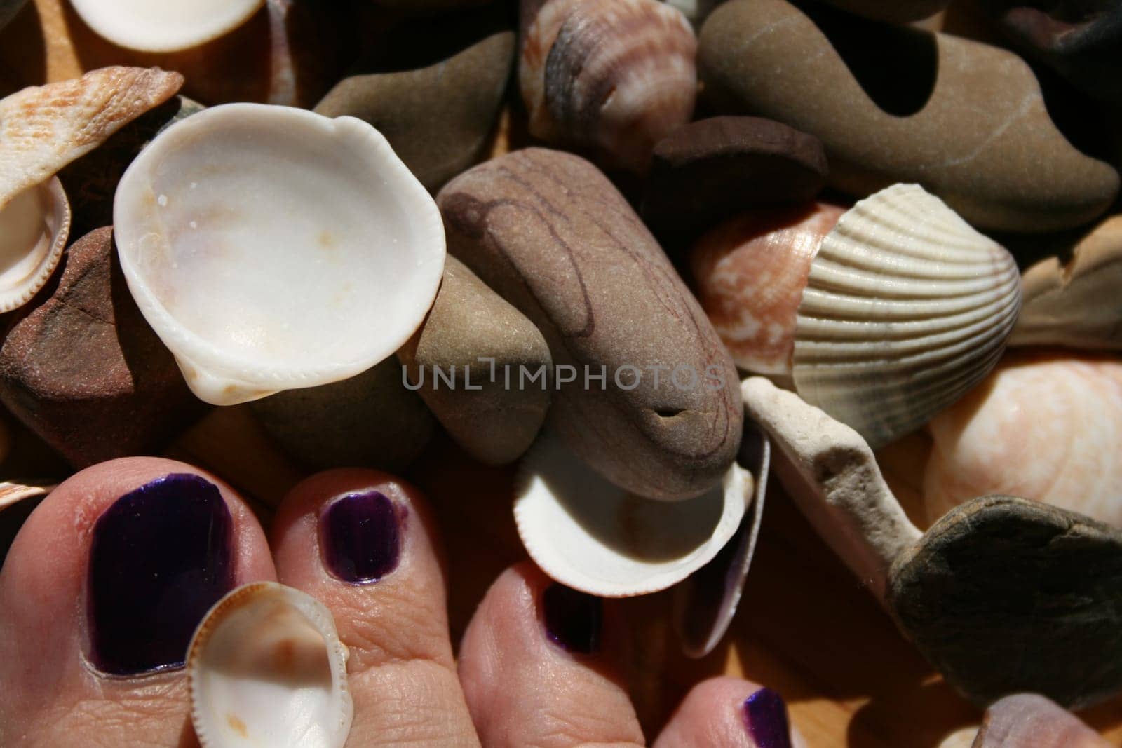 Foot under shells