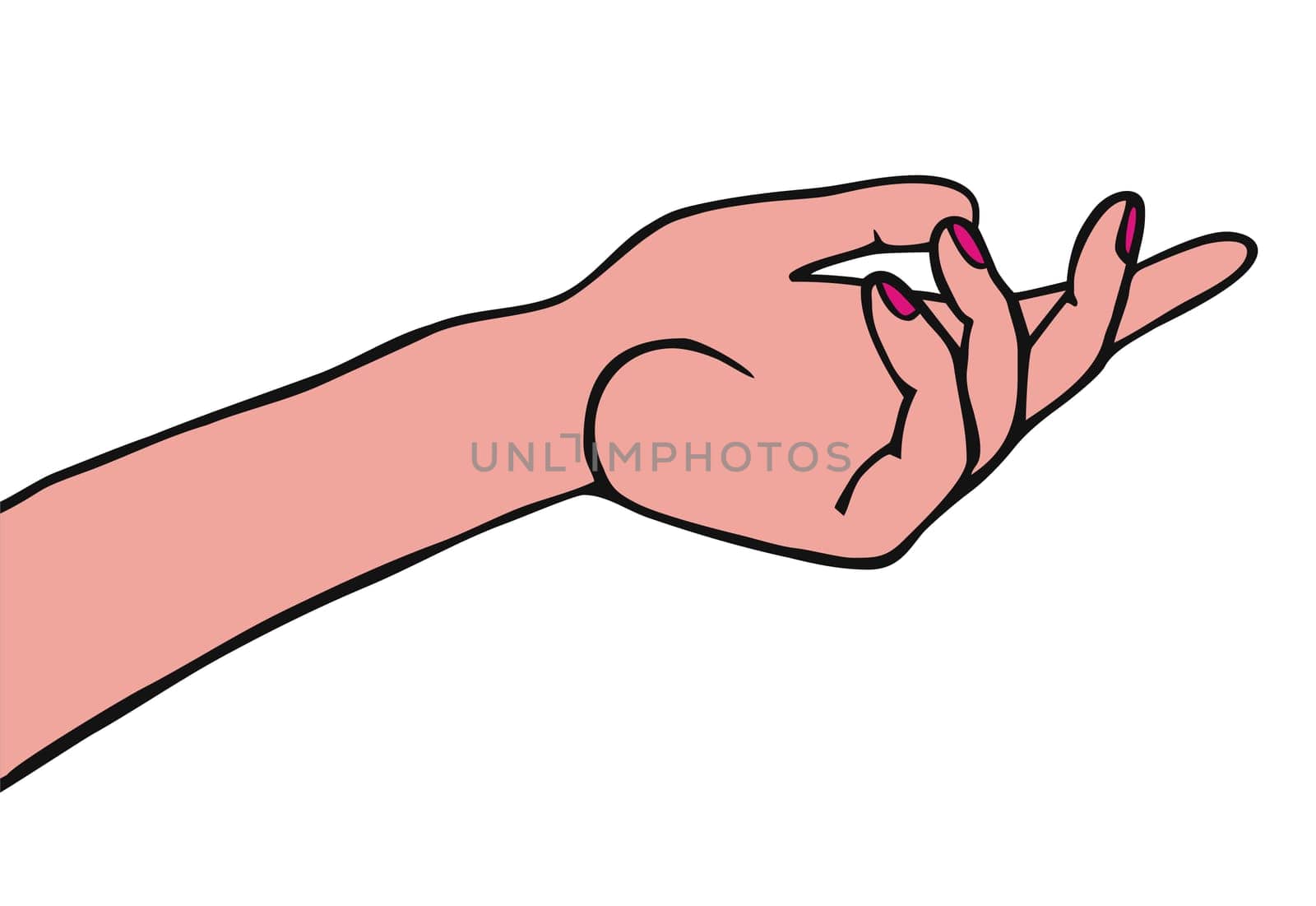 A female hand isolated on white background. Vector available.