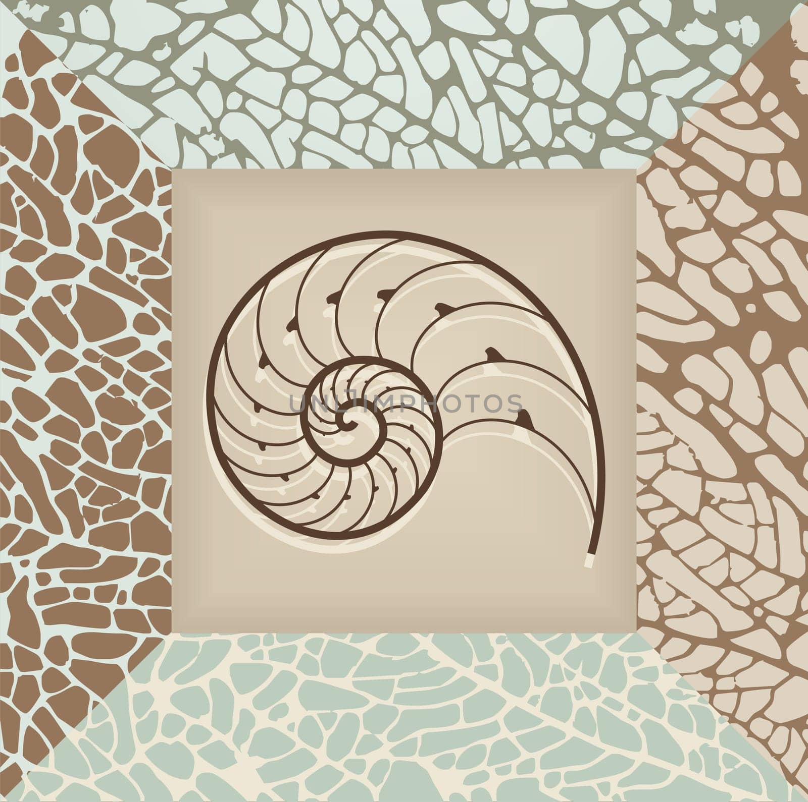Nautilus shell illustration on brown and beige background Vector available.