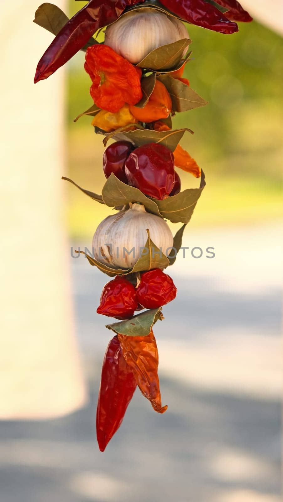 Several types of hot peppers and garlic