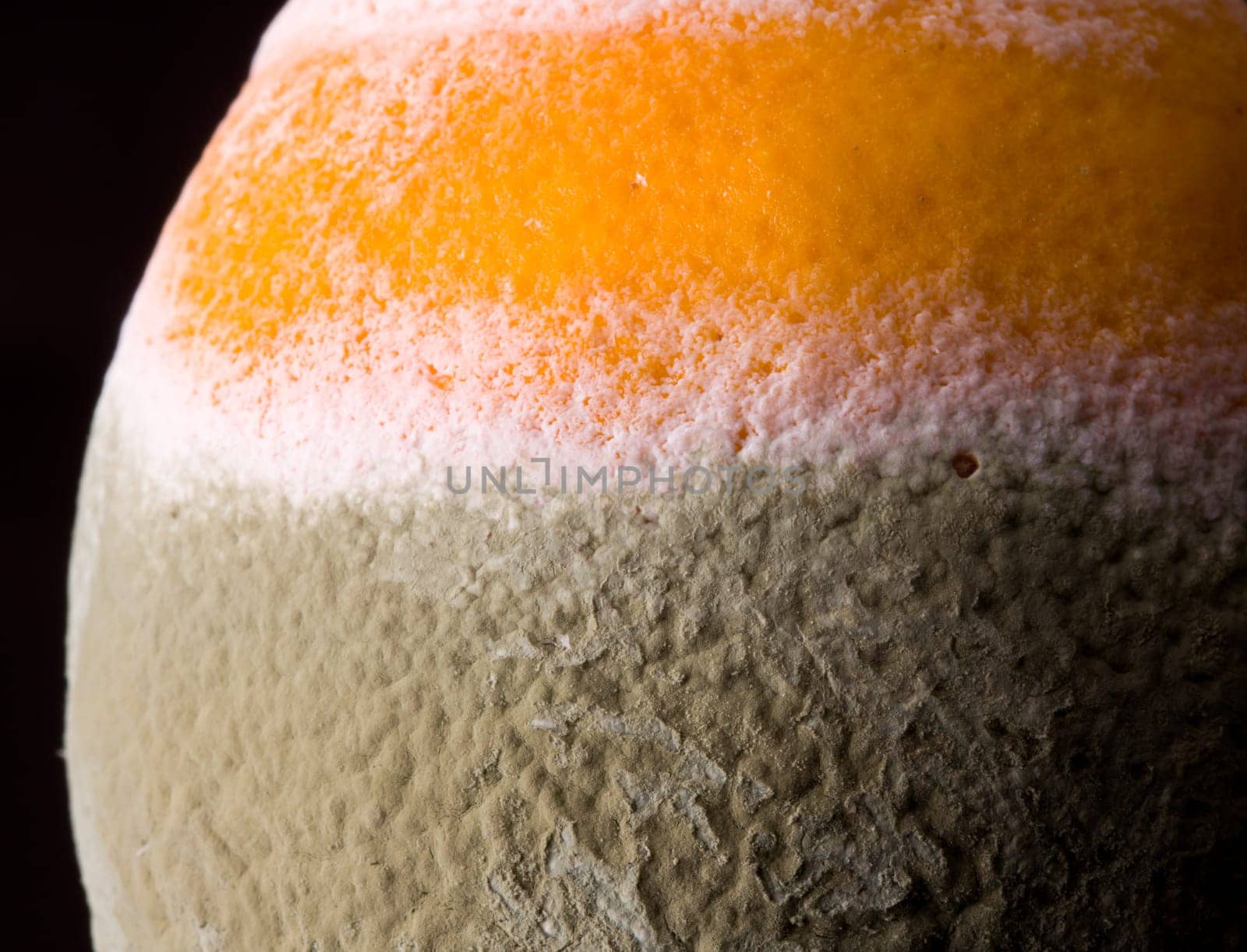 Green mouldy powder on the side of an orange in macro