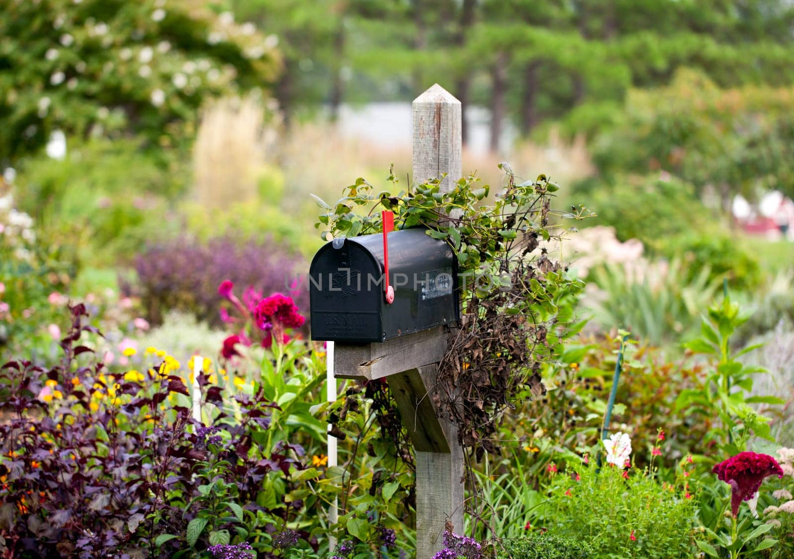 Traditional mail box in a bed of dense flowers with its red flag raised