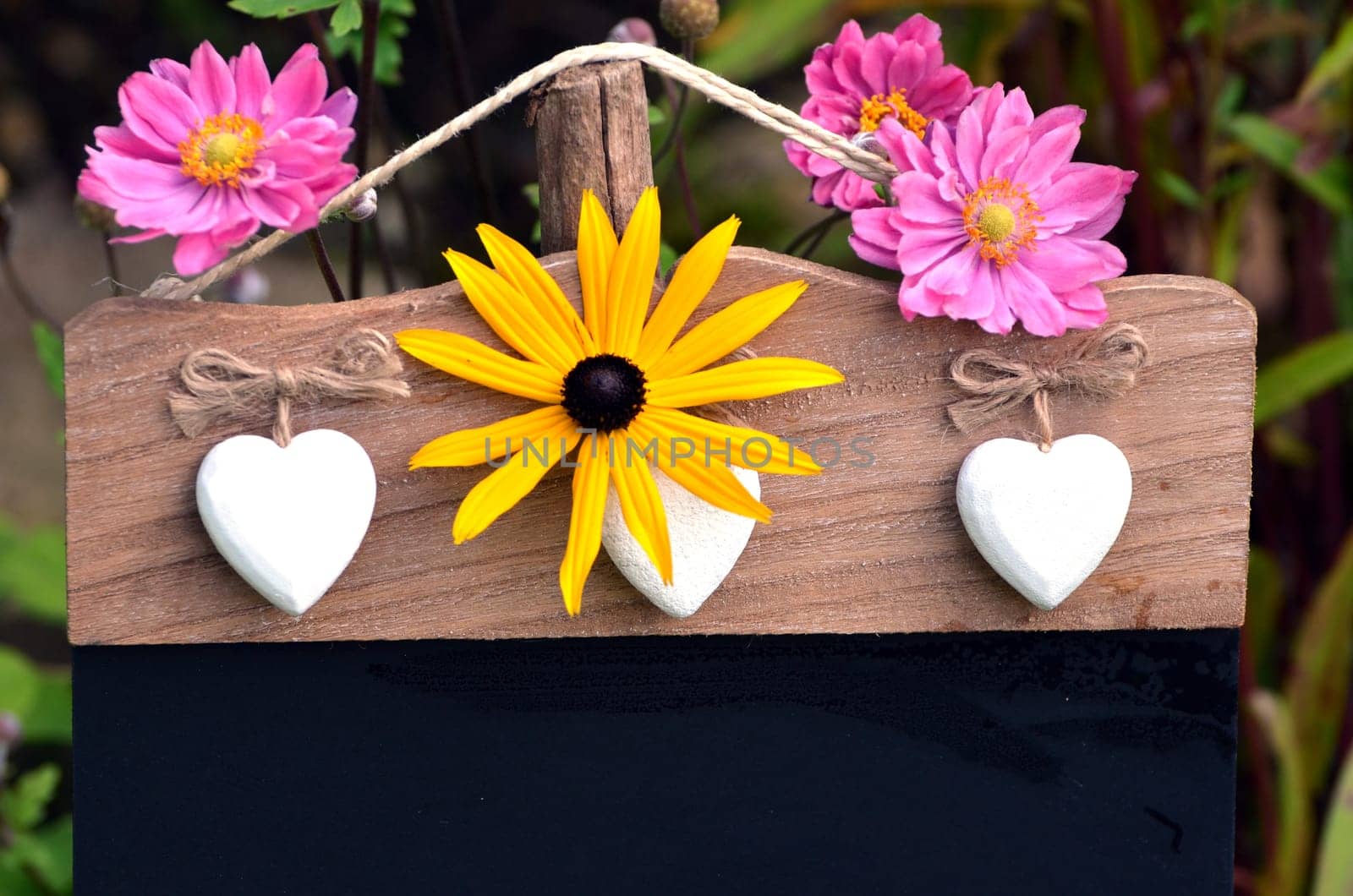 Blossoms Chalkboard Garden Copy Space Decoration Slate Board Board