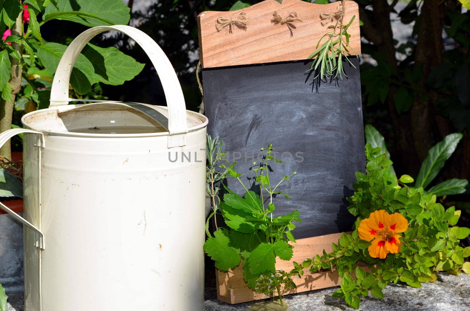 Chalkboard Fresh Herbs Garden Flowers Vitamins
