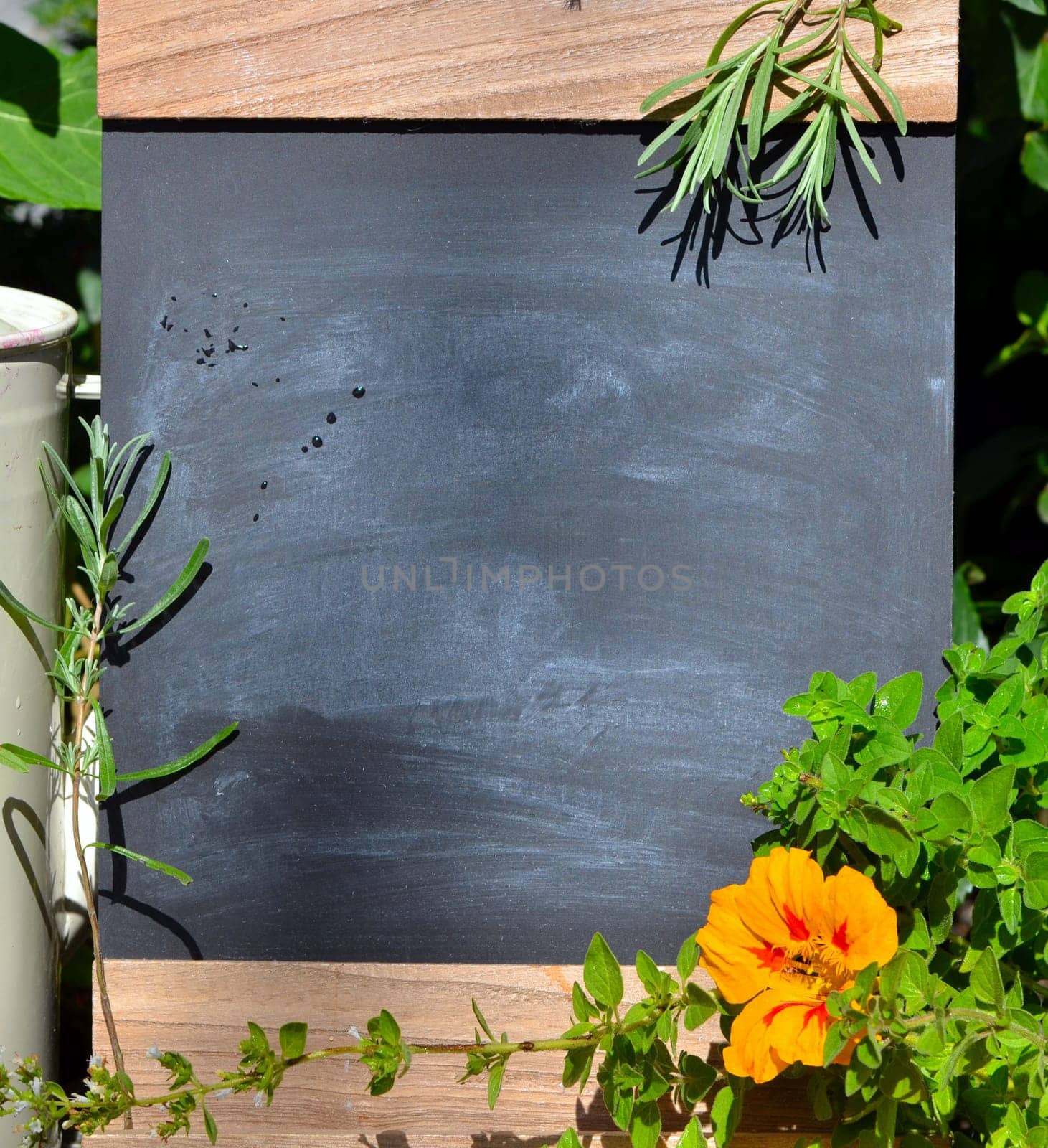 Chalkboard Fresh Herbs Garden Flowers Vitamins
