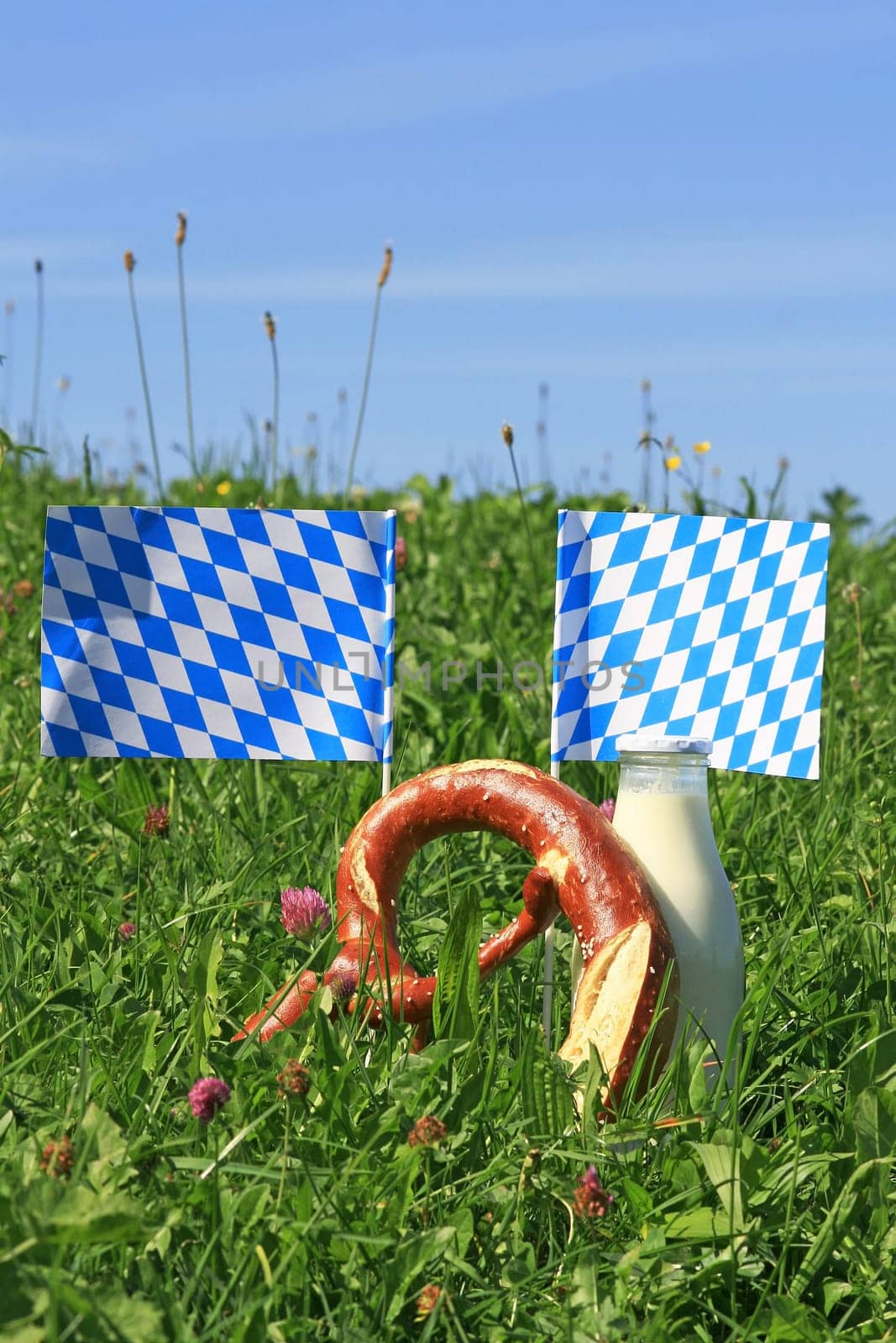 Delicious white-blue Bavaria