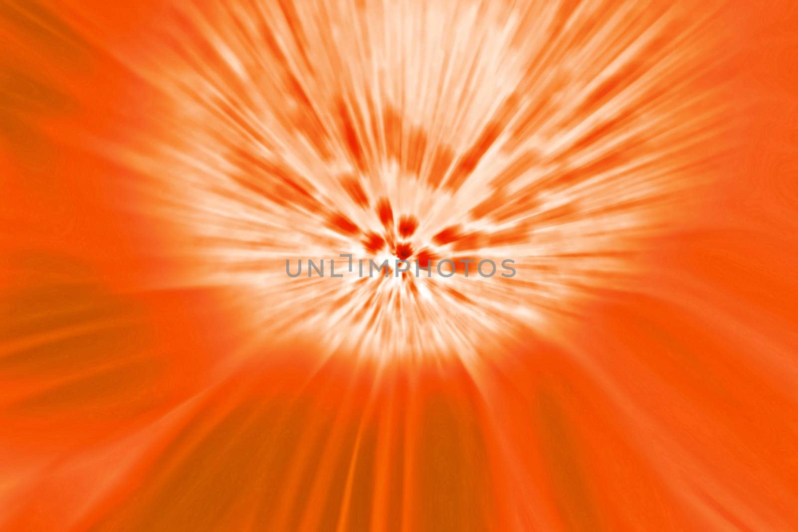Blossom Abstract