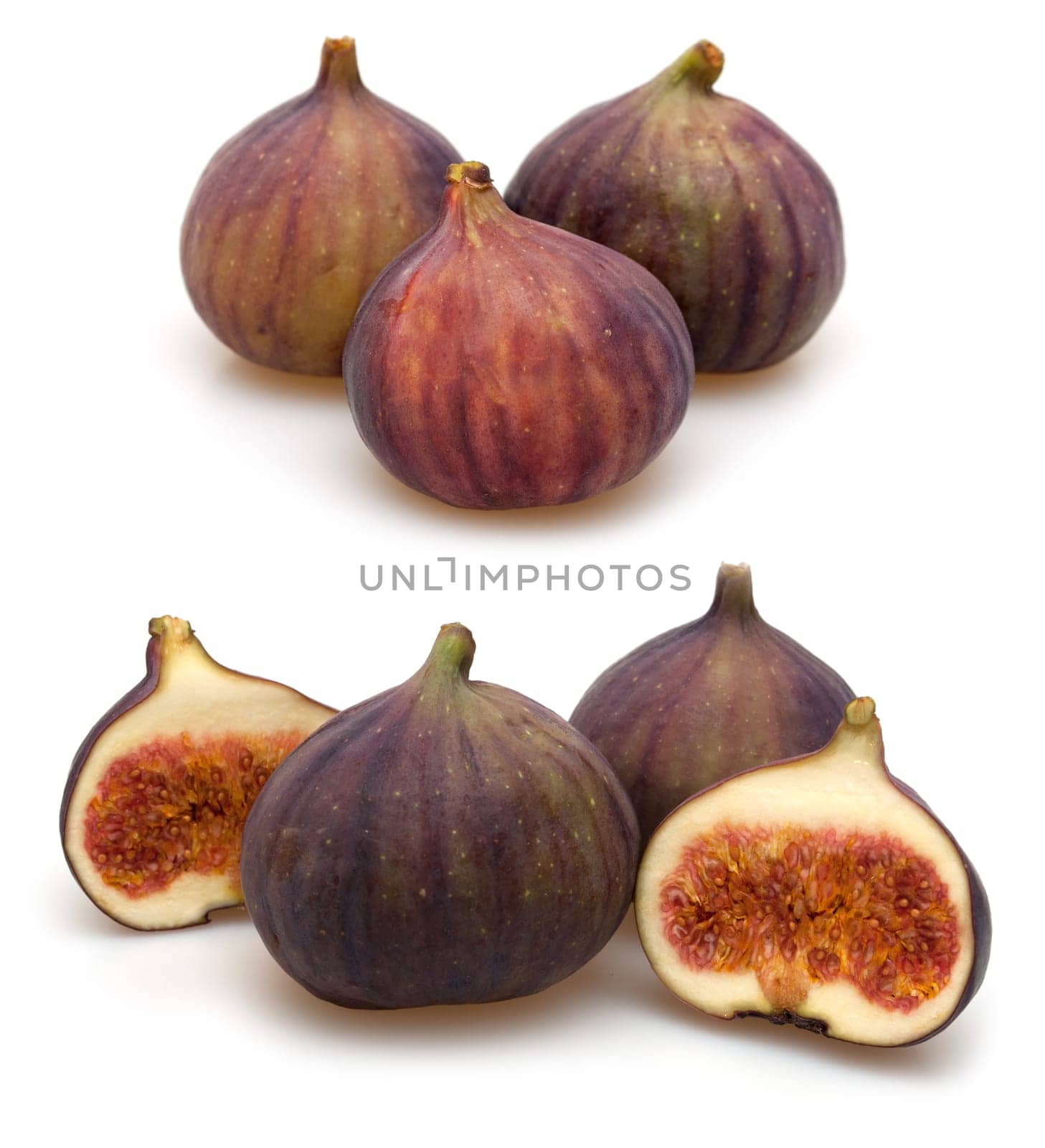 Fig Fruits on White Background