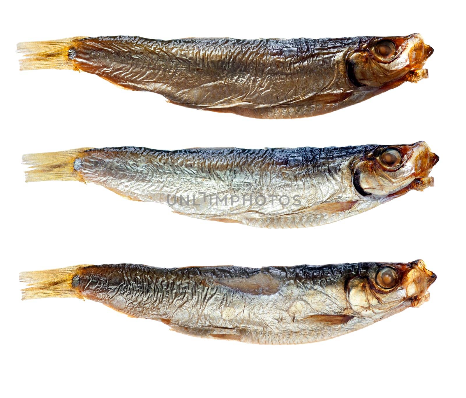 Detail of the sprat on white background - macro