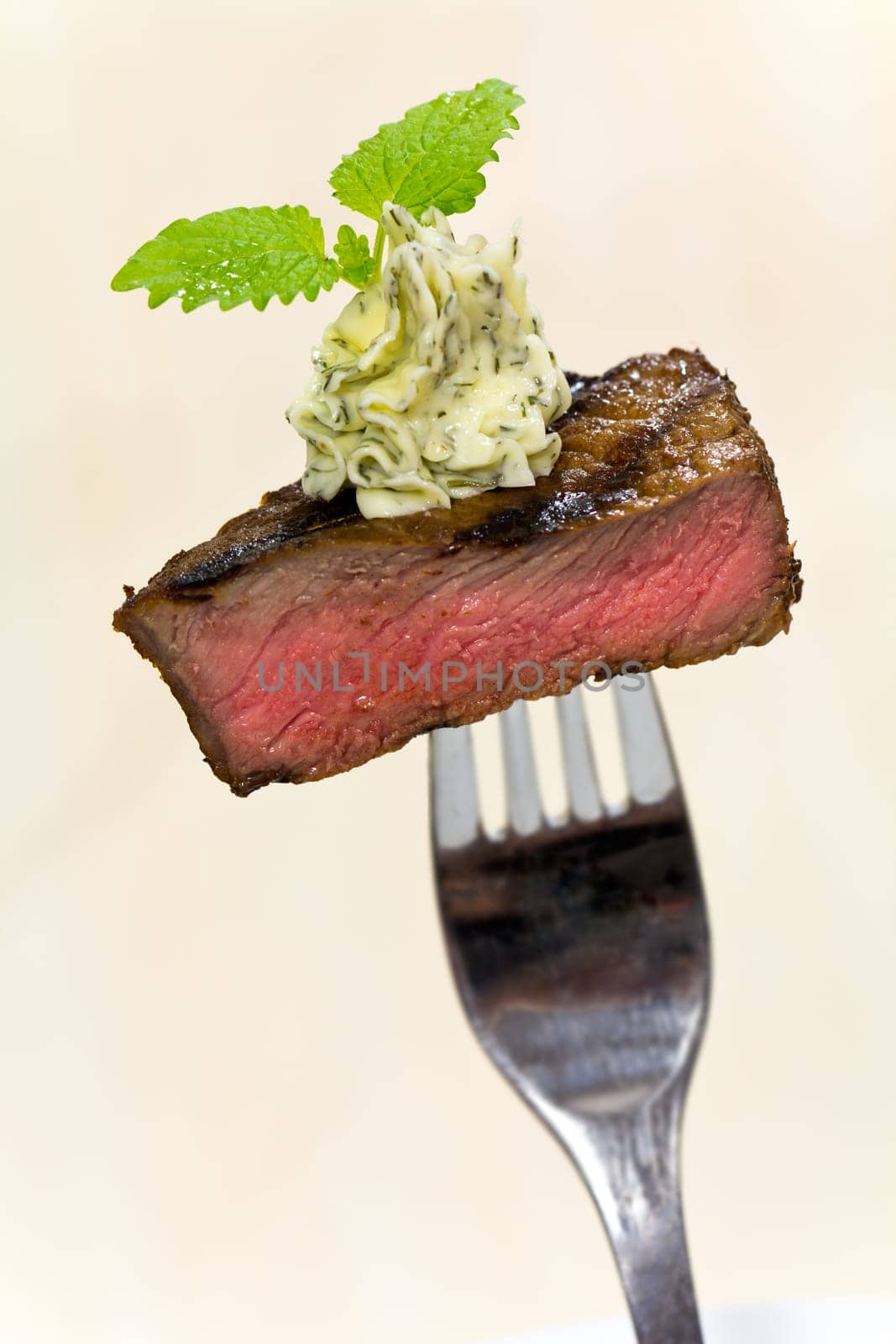 Steak Mignon Gourmet Appetizers