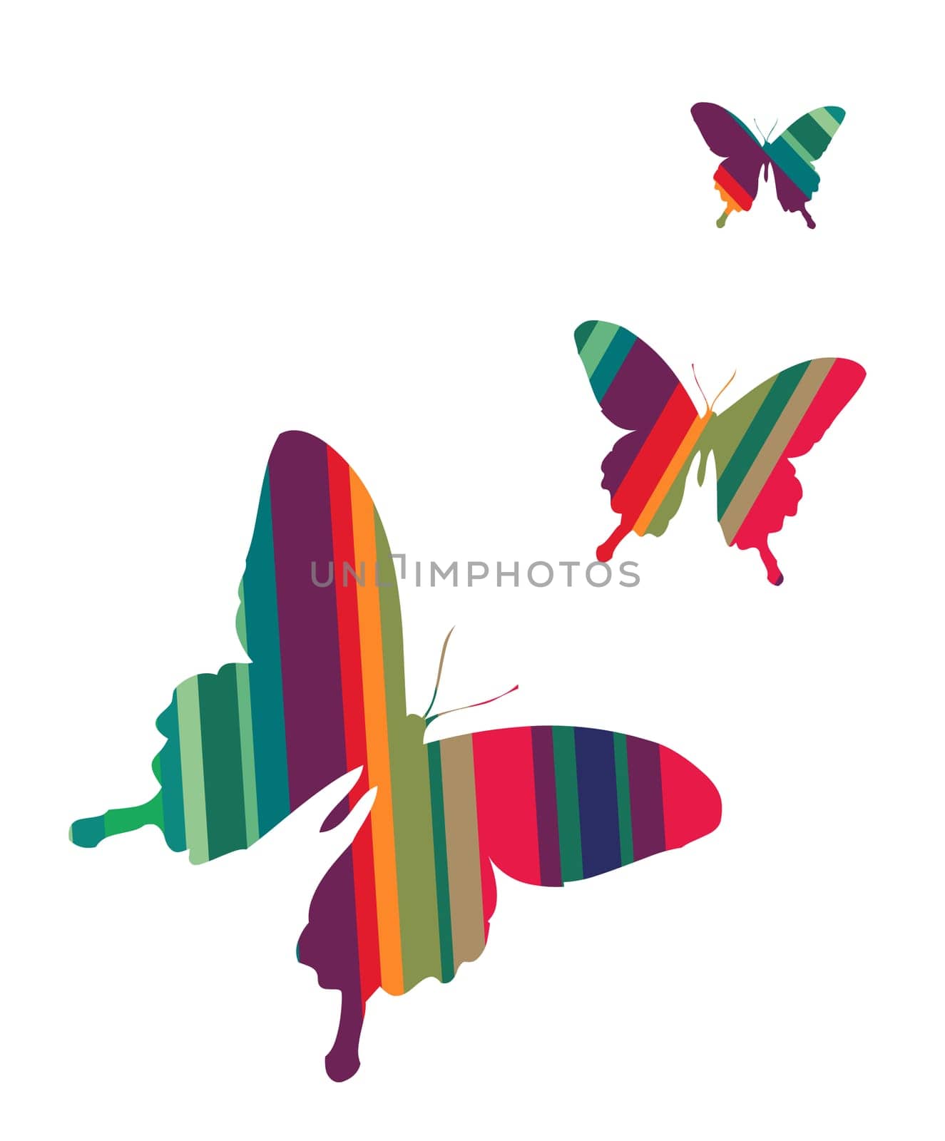 Butterflies colorful striped textured on white background. Vector available