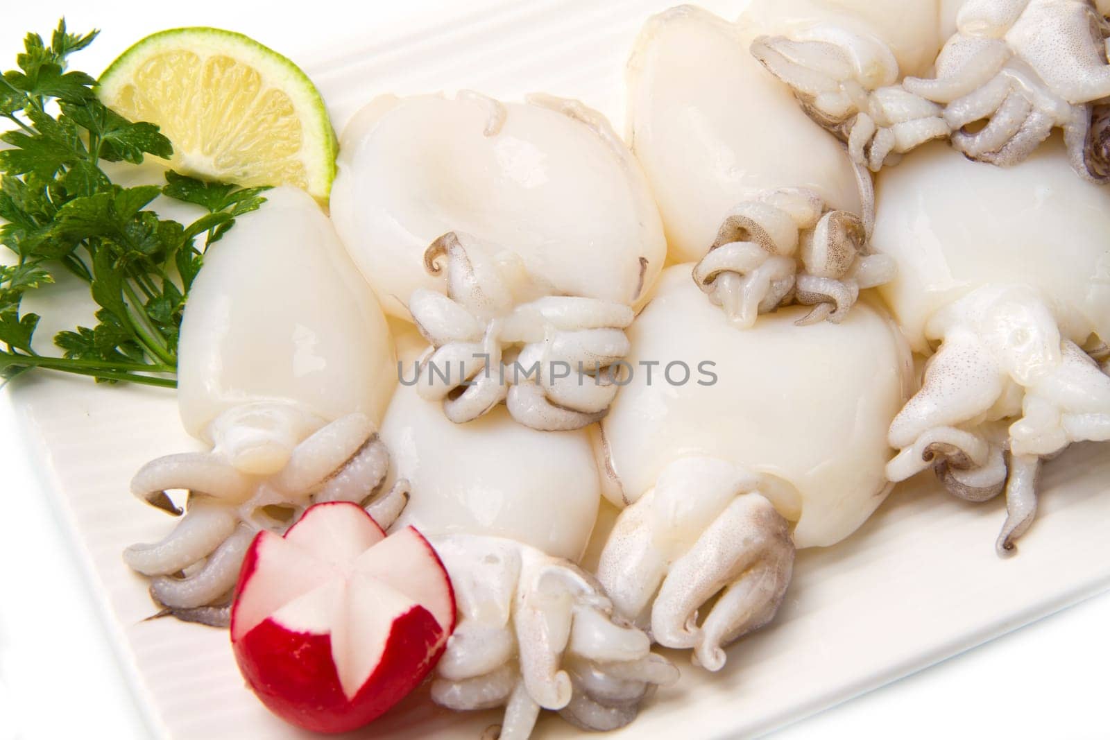 fresh cuttlefish