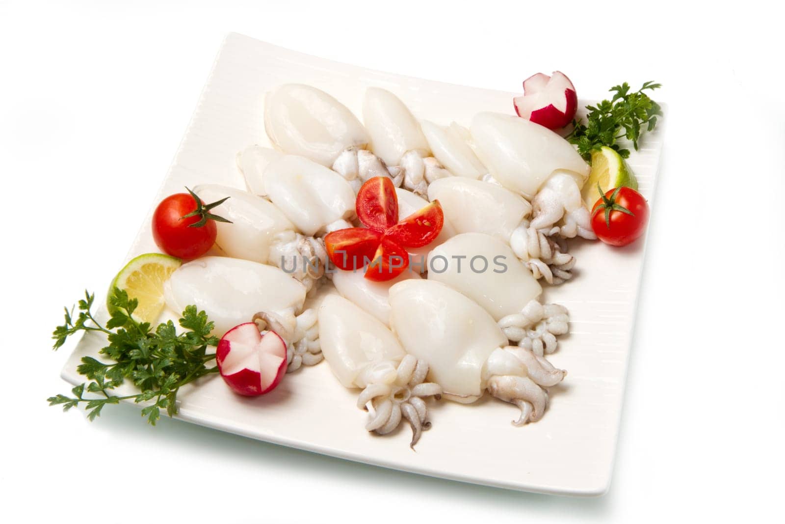 fresh cuttlefish
