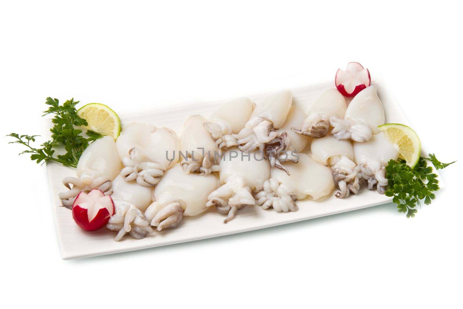 fresh cuttlefish
