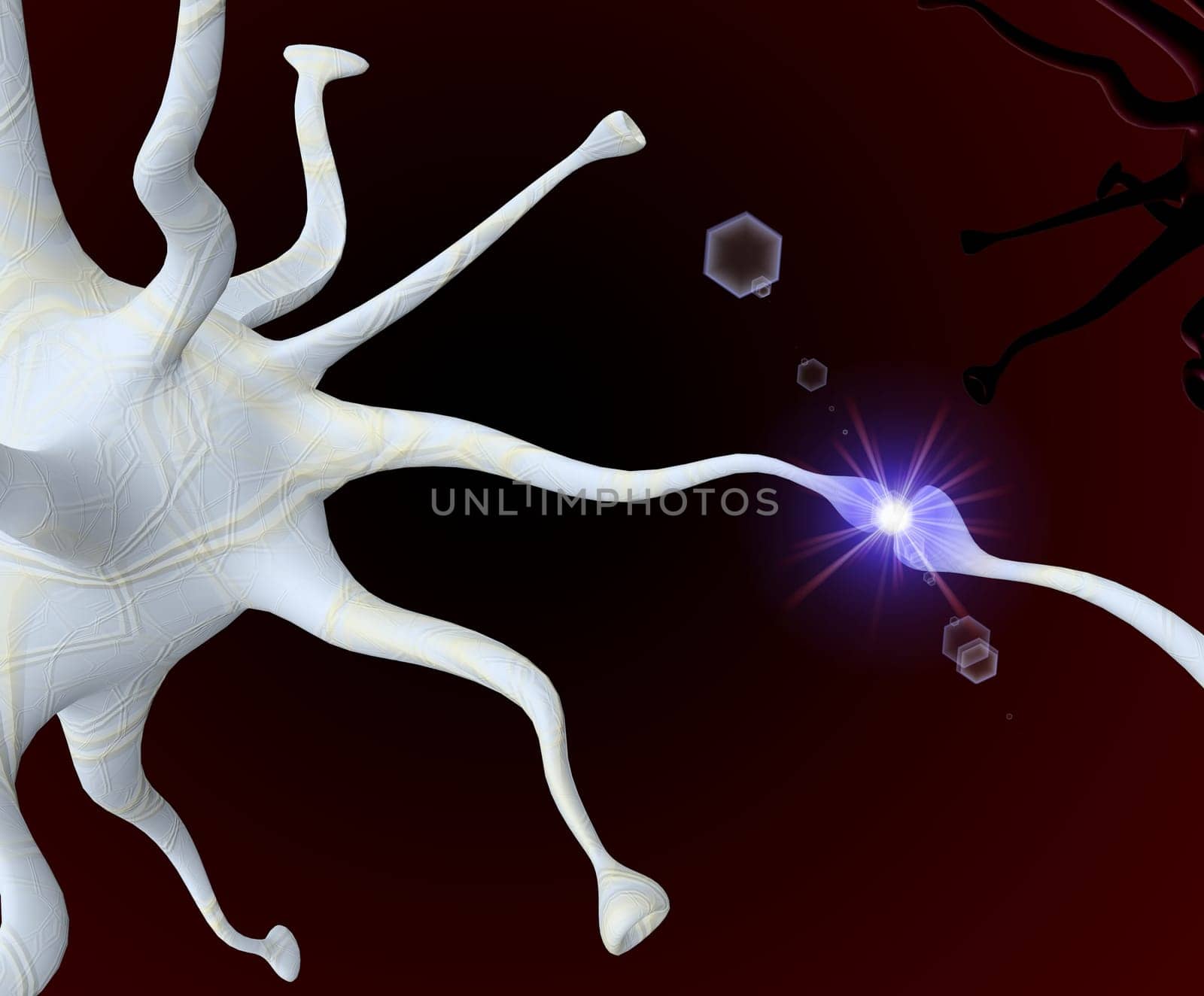 nerve cell
