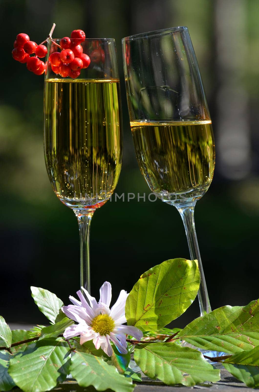 Champagne glass bottle Romantic picnic in the forest by a lake in the moss