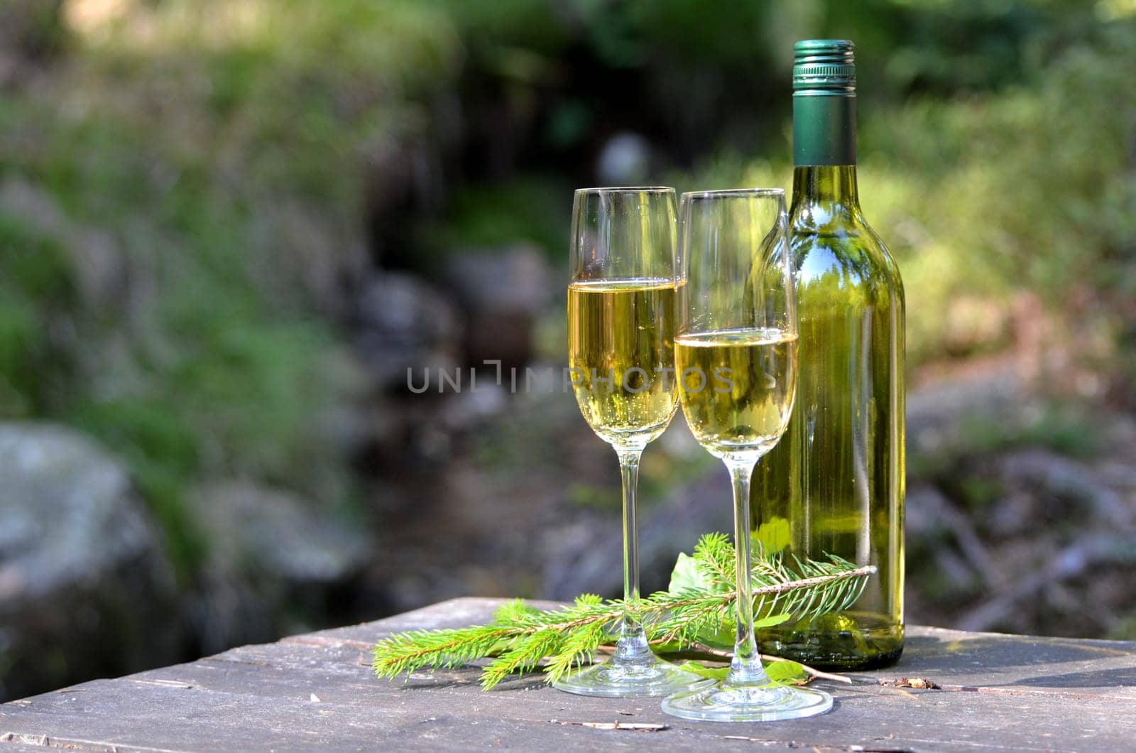 two champagne glasses and a bottle in the forest at a picnic