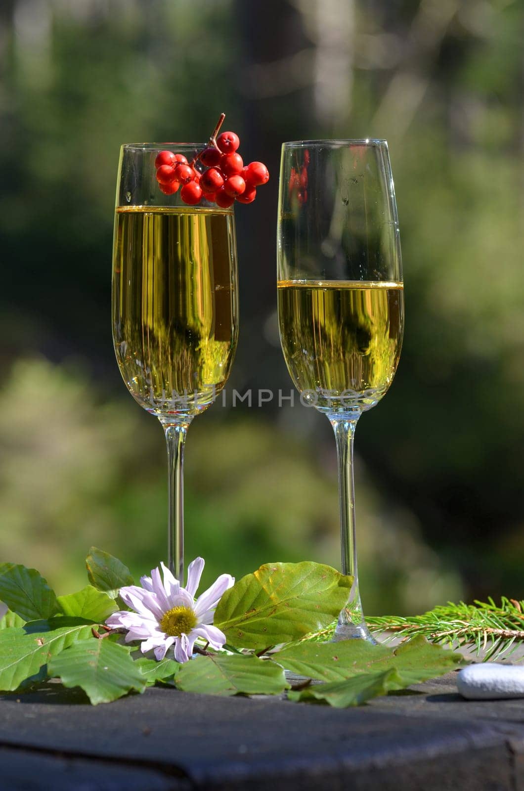 Champagne glass bottle Romantic picnic in the forest by a lake in the moss