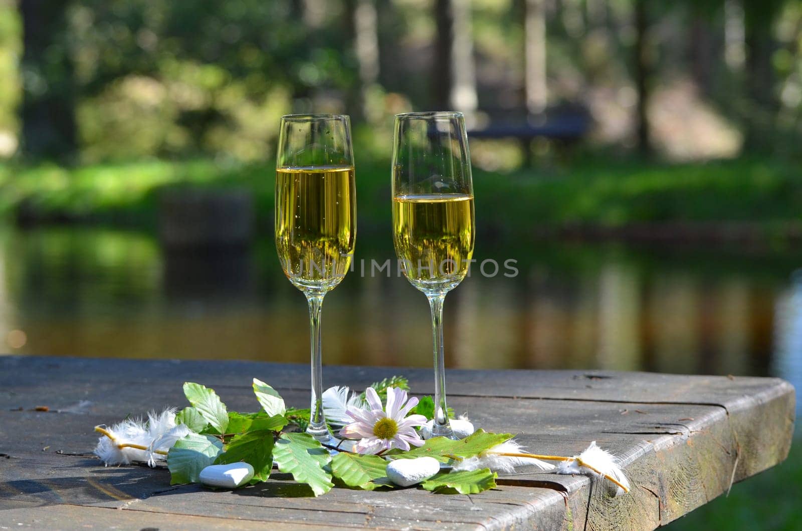 two champagne glasses and a bottle in the forest at a picnic