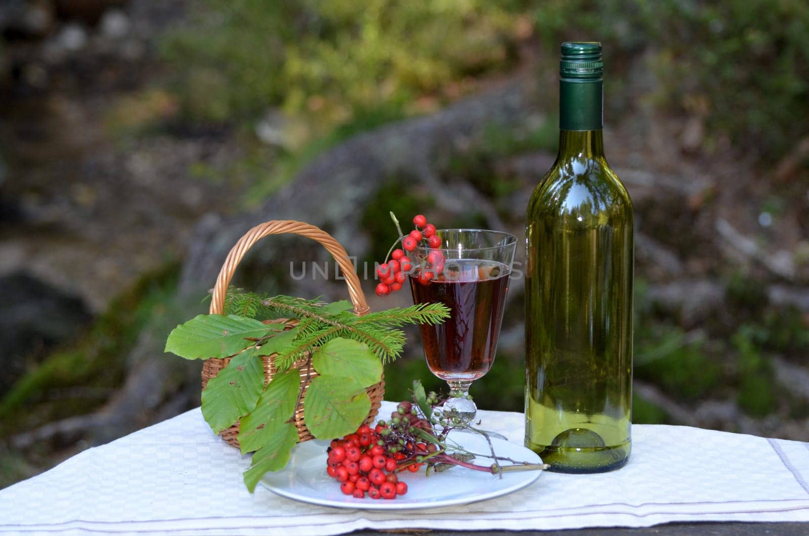Champagne glass bottle Romantic picnic in the forest by a lake in the moss