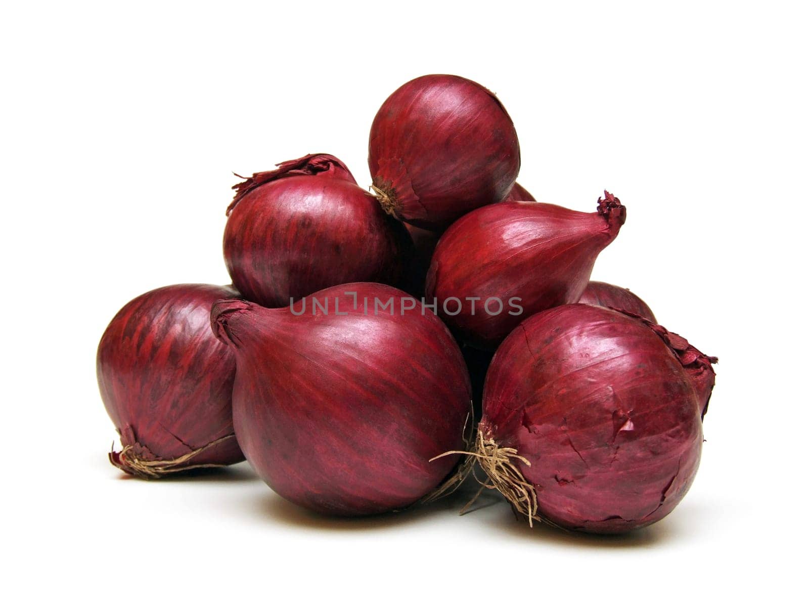 red onions (Allium cepa)