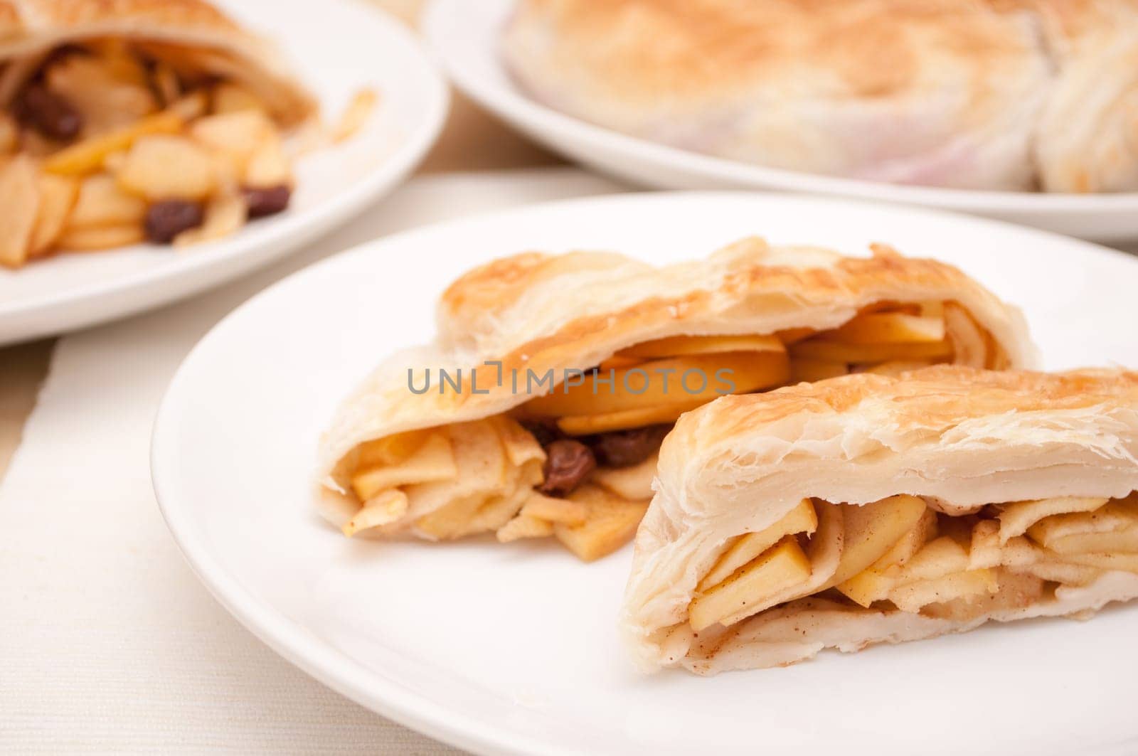 Homemade Apple Strudel on Plate on the Table
