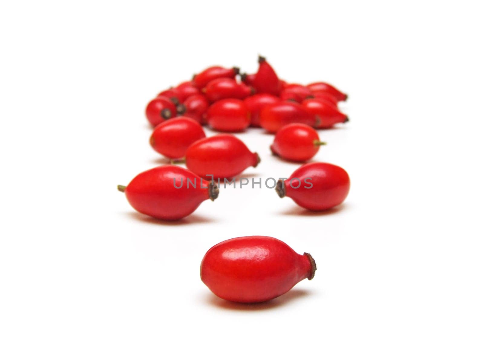 Rosehips (rosa canina)