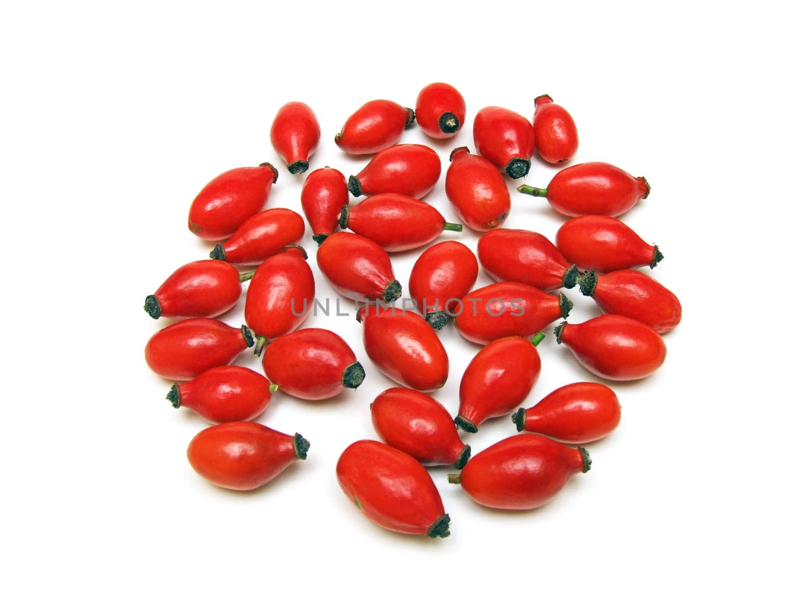 Rosehips (rosa canina)