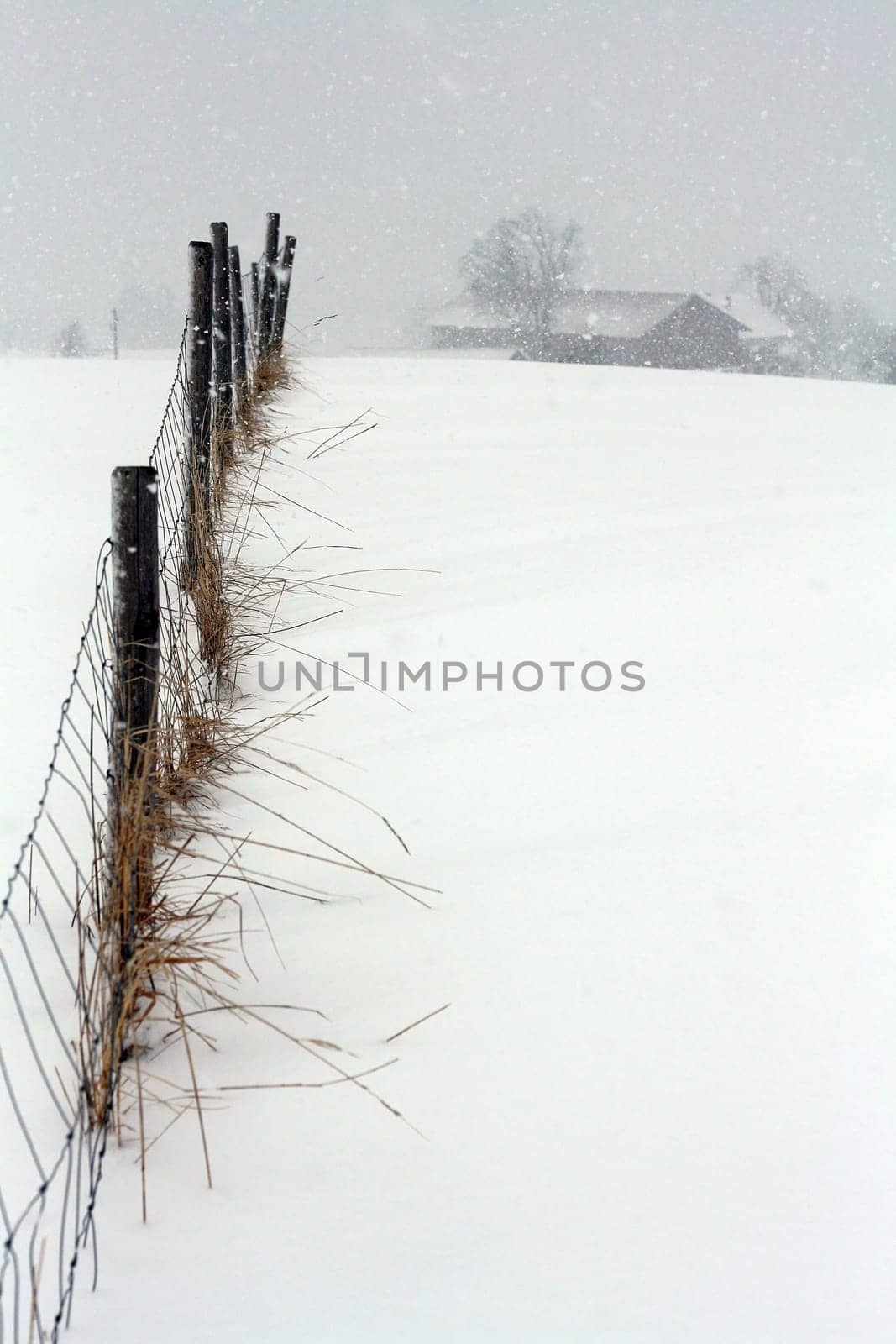 Winter in the countryside