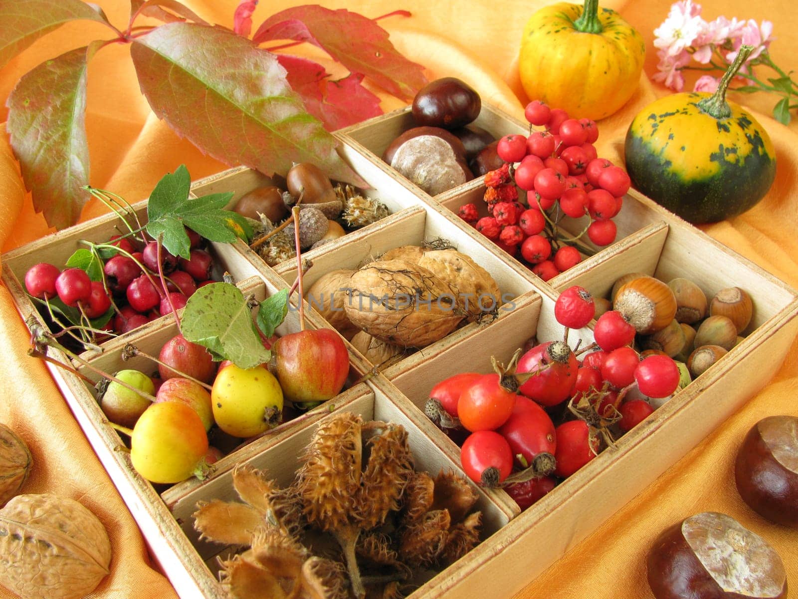 Collection box with walnuts,chestnuts and other autumn fruits