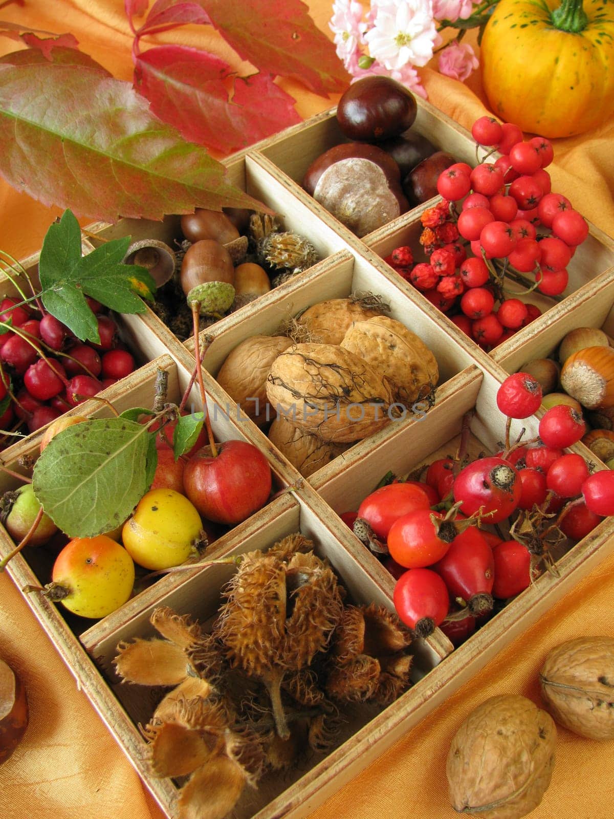 Collection box with walnuts,chestnuts and other autumn fruits