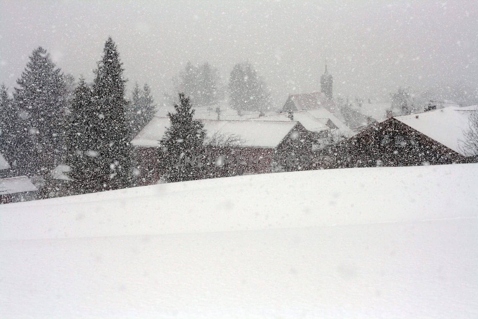 Snowstorm in the Allgäu