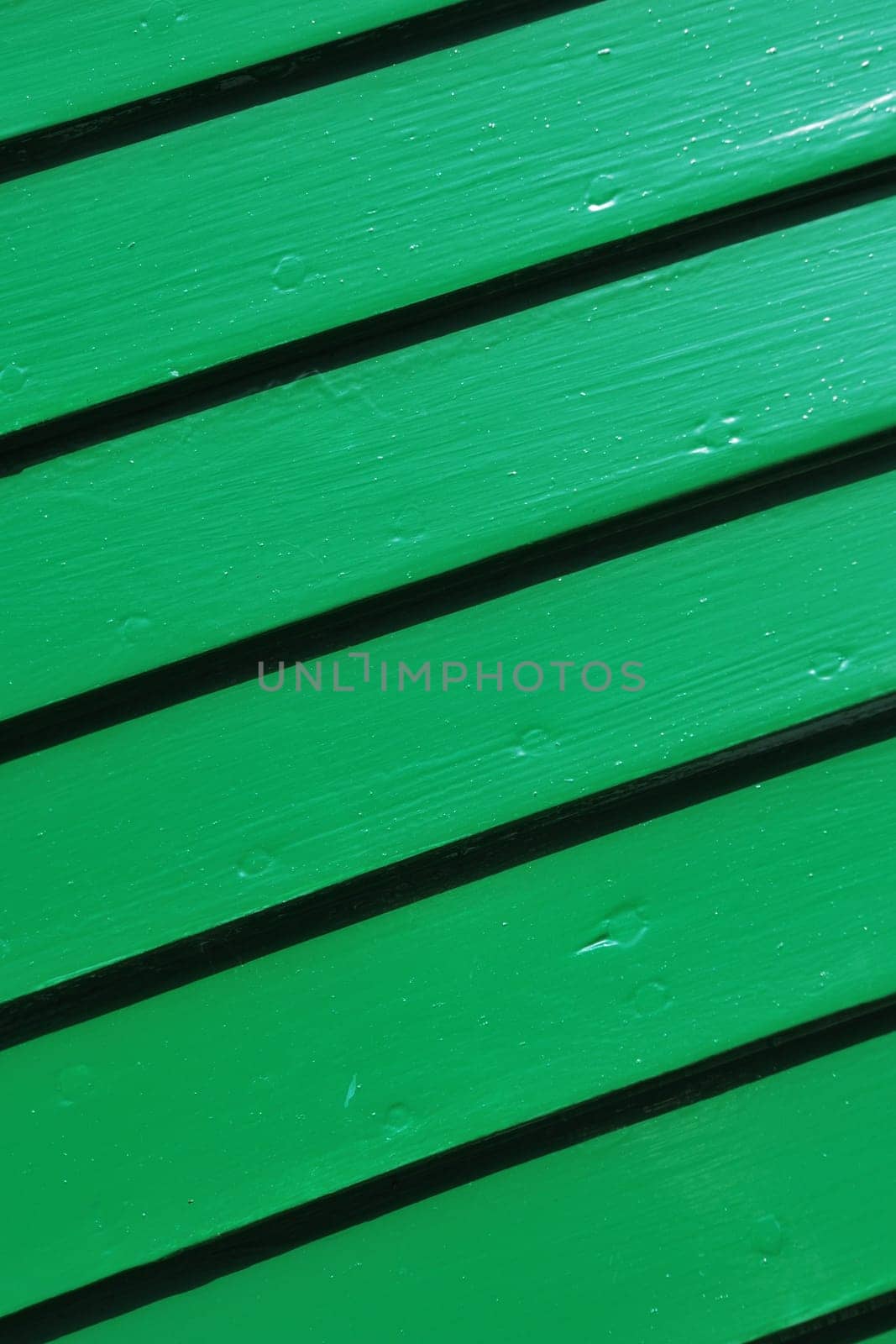 Green abstract wood pattern
